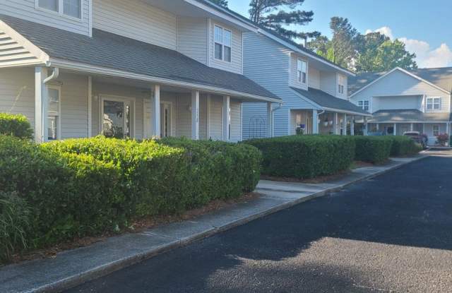 Completely Renovated 2 Bedroom Townhome in Charleston - 262 Stefan Drive, Charleston, SC 29412