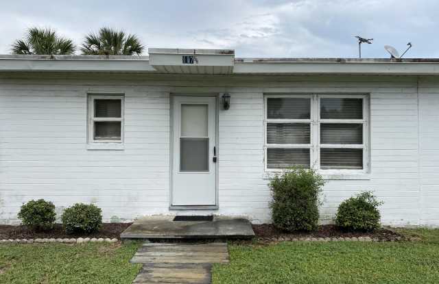 117 1/2 Demotte Avenue - 117 Demotte Avenue, Volusia County, FL 32118