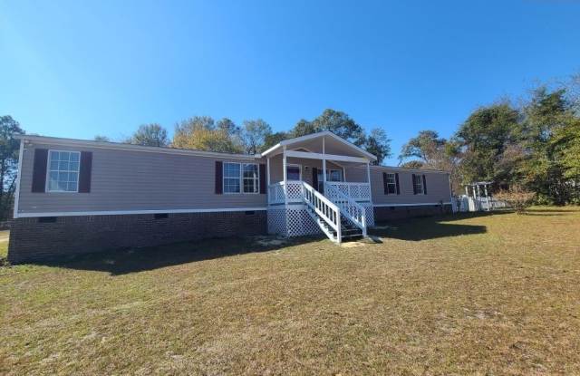 112 Hillock Court - 112 Hillock Court, Orangeburg County, SC 29115