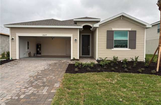 Photo of 18677 Marlin Kite