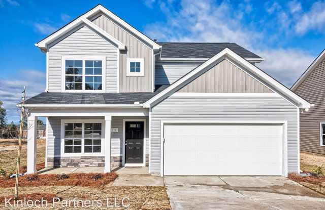 113 Chetsley Drive - 113 Chesley Drive, Greenville County, SC 29680