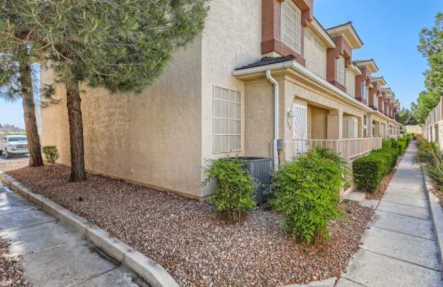 1317 Silver Sierra Street