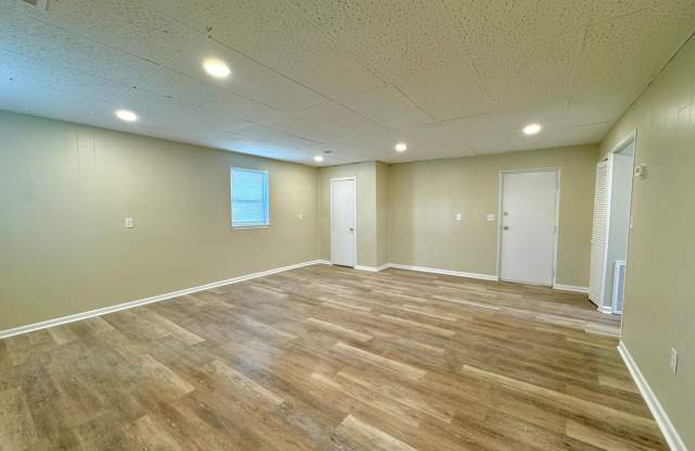 Updated 1-brm home - huge living room, brand new flooring, washer/dryer, new kitchen, new bathroom, fenced-in back yard with gazebo, shed!