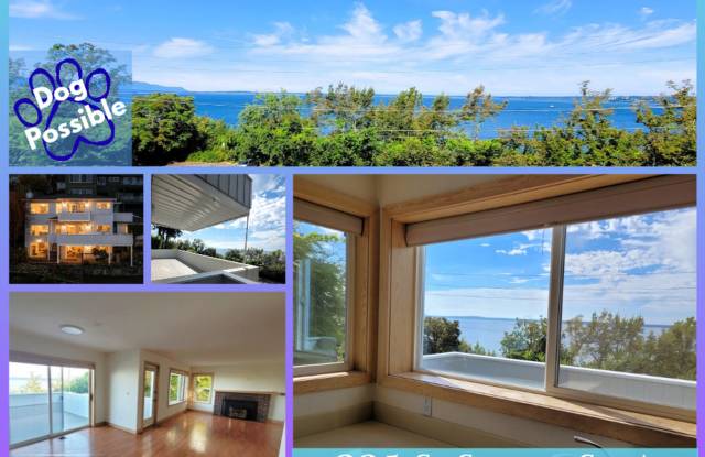 Bayview Condo 2 Bedrooms with Gas Fireplace  - S State St