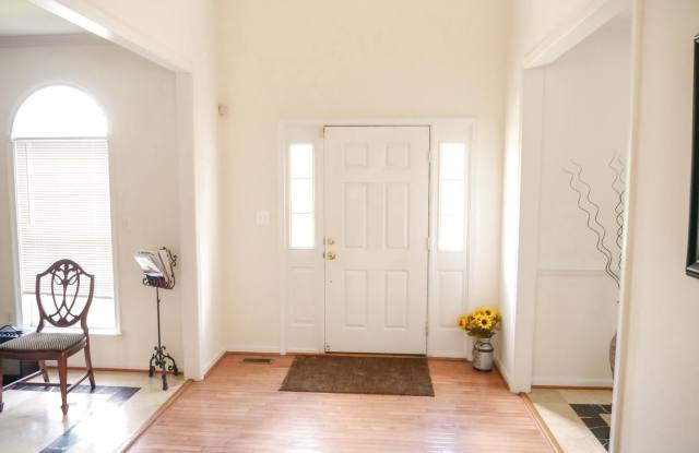 21337 CAMERON HUNT Place