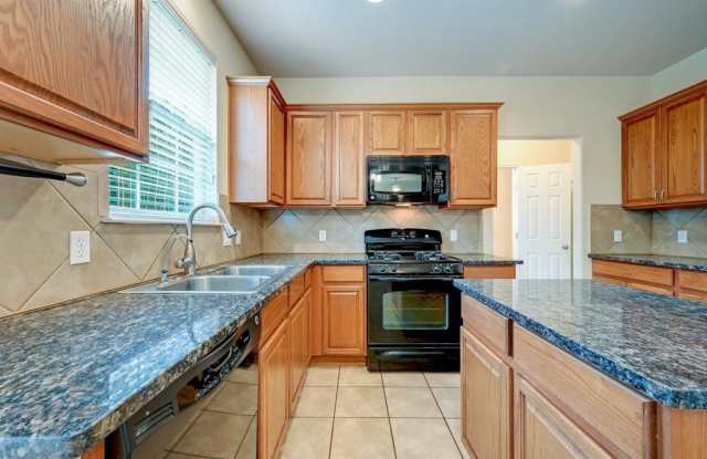 859  Bottle Brush DR