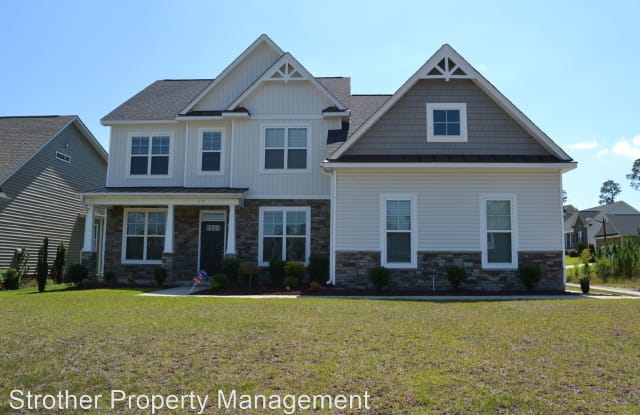 17 Buckman Drive - 17 Buckman Drive, Harnett County, NC 28326