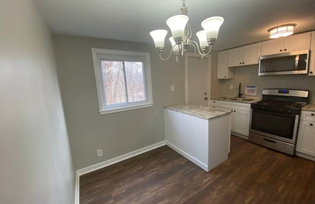 MODERN, TOTALLY UPDATED 2 BEDROOM / 1 BATH TOWN HOME IN BELLEVUE - SHARP!!