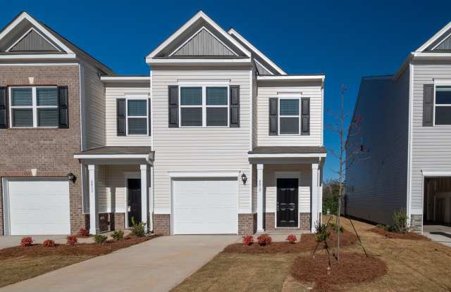 Beautiful Brand New 3 Bedroom 2.5 Bath Townhome in Hickory Glen!