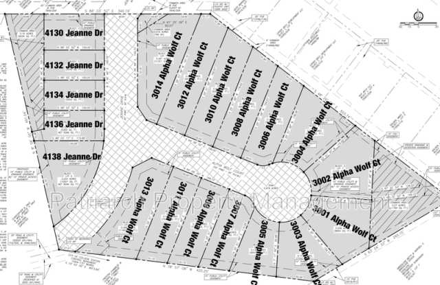 3009 Alpha Wolf Court