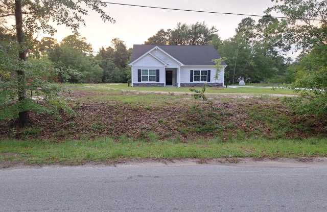 Photo of Newer Three Bedroom Home in Elgin SC!