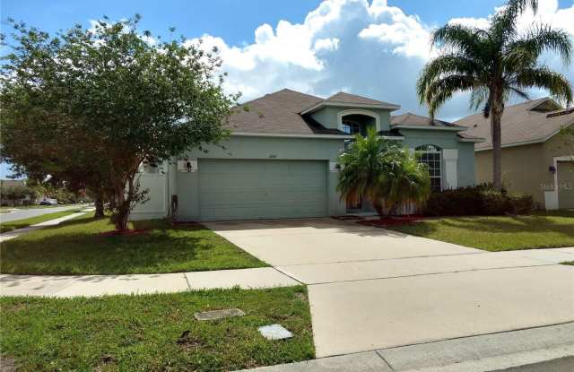 13151 LOOKING GLASS FALLS LANE