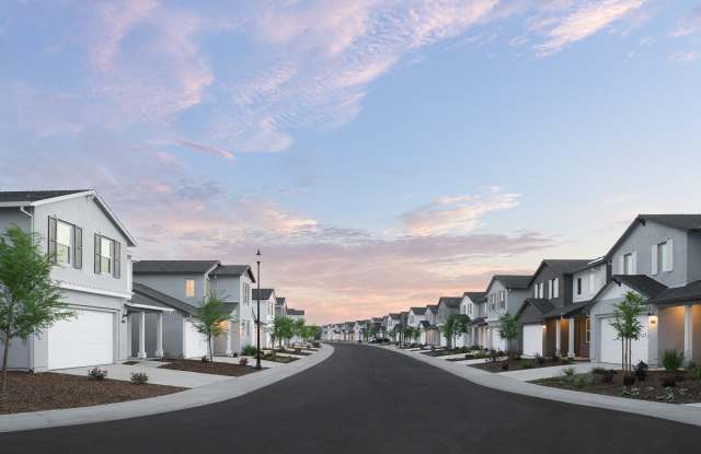 Photo of Vera at Fiddyment