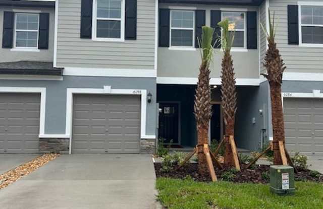 Charming 3BR Townhome in Land O Lakes