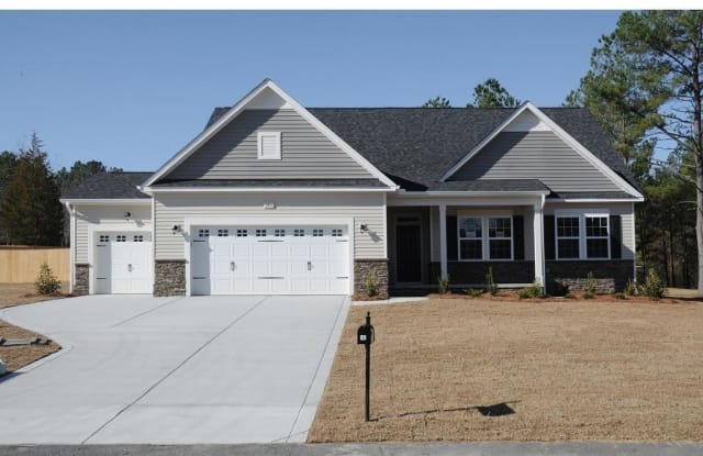 146 Bison Lane - 146 Bison Lane, Harnett County, NC 27546