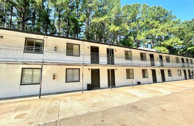 Photo of 1 Bed/1 Bath Apartment for Rent in Downtown Brandon!