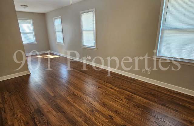 135 Plainview Street