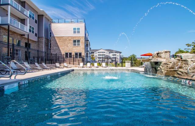 Photo of Spark Black Bear