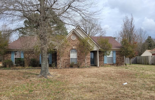 6496 White Hawk Lane - 6496 White Hawk Lane, DeSoto County, MS 38654