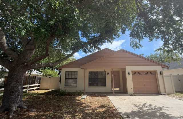 Pool Home in Palm Harbor