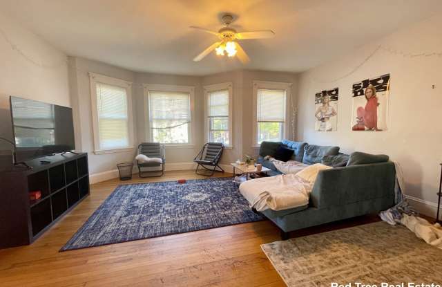 209 Chestnut Hill Avenue