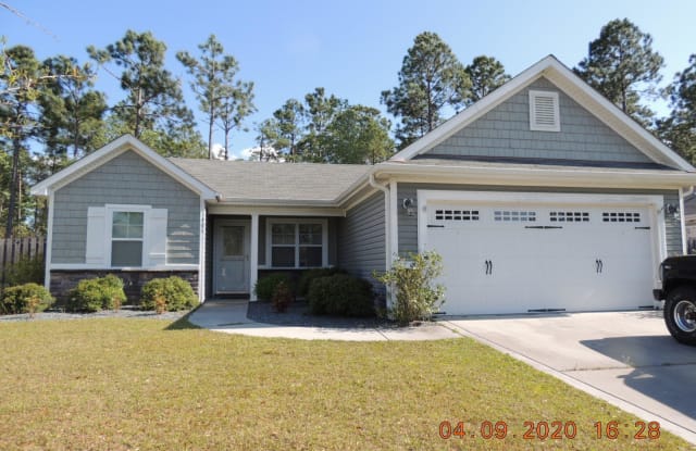 405 Blue Pennant Court - 405 Blue Pennant Court, Onslow County, NC 28445