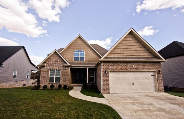 1243 Juniper Pass - 1243 Juniper Pass, Clarksville, TN 37043