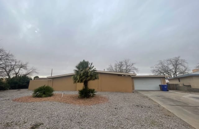 1425 Country Club Circle - 1425 Country Club Circle, Las Cruces, NM 88001