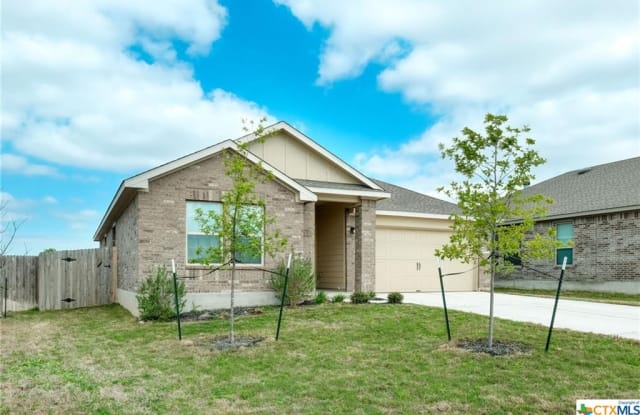 229 Finstown Street - 229 Finstown Street, Williamson County, TX 78634