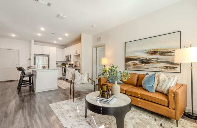 Story University North