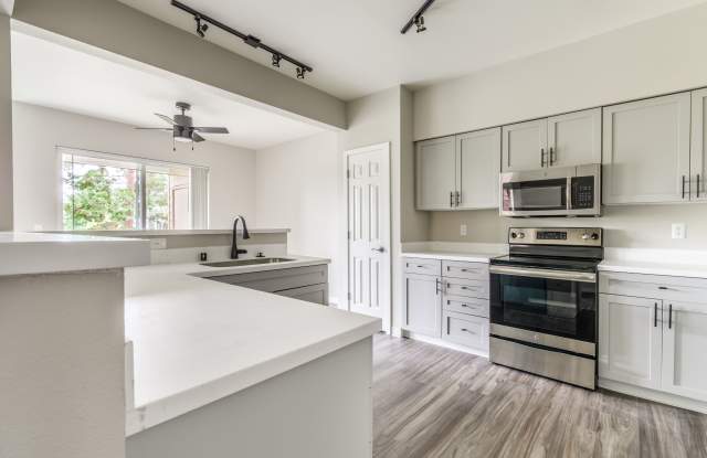 Photo of Evans Creek