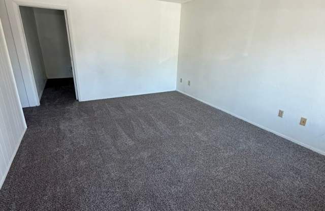 Newly Renovated 2 Bedroom, 1 Bathroom Triplex - South Suburbs