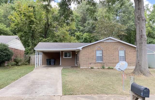 3292 Sandy Springs Dr - 3292 Sandy Springs Drive, Memphis, TN 38128