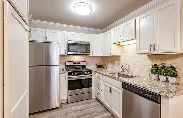 The Ravines of Plymouth