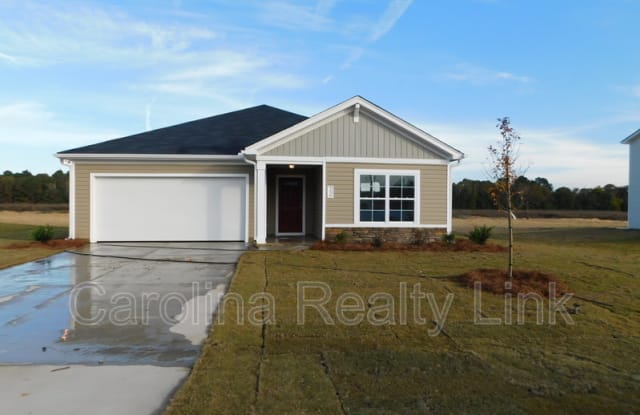 156 King Buck Drive - 156 King Buck Dr, Lexington County, SC 29053