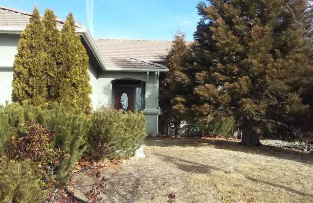 GORGEOUS 3 BEDROOM HOME IN WINGFIELD SPRINGS WITH ENCLOSED SUNROOM - HOME IS LOCATED IN THE VAN GORDER ELEMENTARY SCHOOL DISTRICT AND DIRECTLY ACROSS THE STREET FROM PELICAN PARK