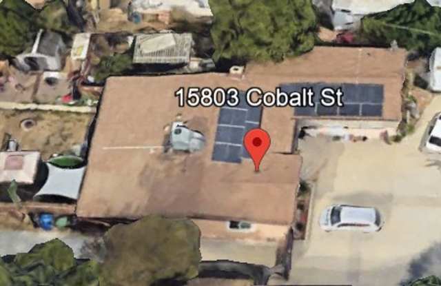 Cobalt - Back