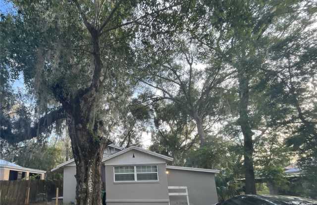 220 W CHELSEA STREET - 220 West Chelsea Street, DeLand, FL 32720