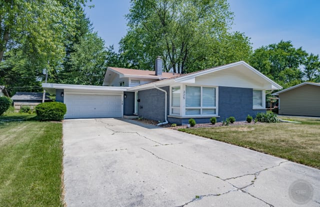 325 Tamarack Avenue - 325 Tamarack Avenue, Naperville, IL 60540