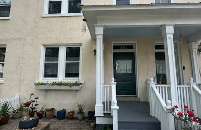 Downtown Wilmington - 216 McRae Street, Wilmington, NC 28401