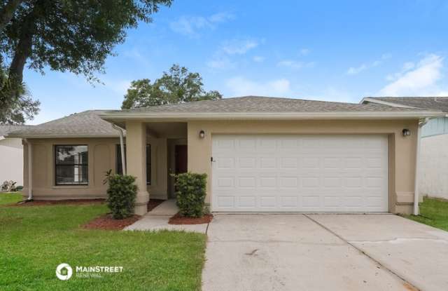 12907 Tikiwood Court - 12907 Tikiwood Court, Riverview, FL 33579