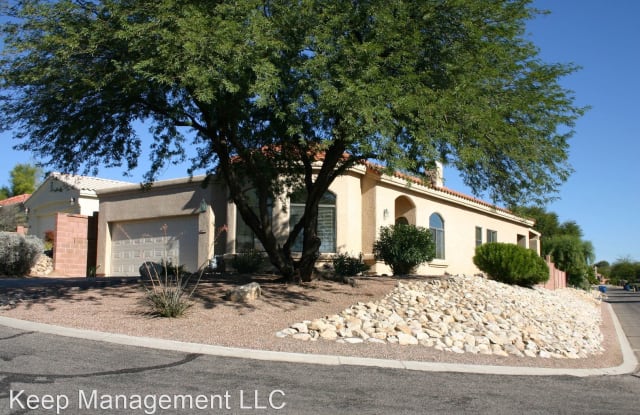 10300 N Possum Run Lane - 10300 North Possum Run Lane, Oro Valley, AZ 85737