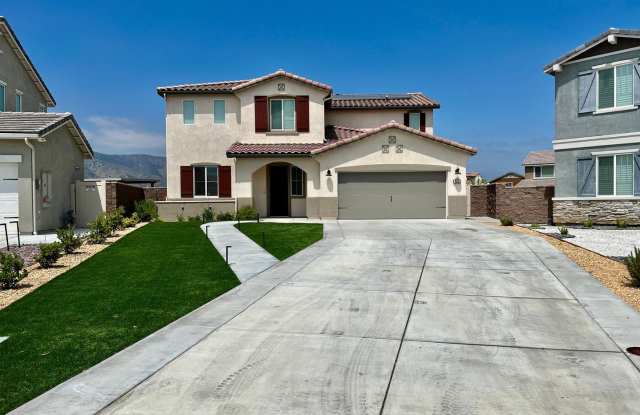 29131 Brittbush