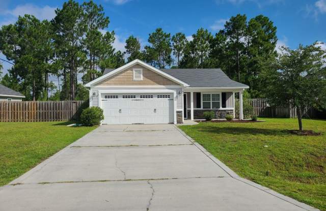 404 Blue Pennant Court - 404 Blue Pennant Court, Onslow County, NC 28445