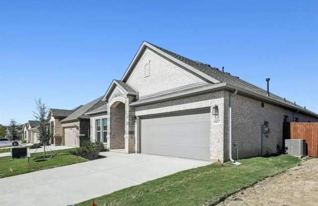 1037 Nighthawk Trail