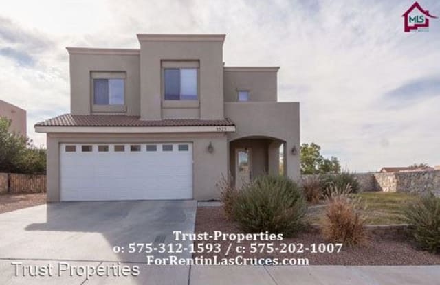 3529 Omaha Ct - 3529 Omaha Ct, Las Cruces, NM 88005