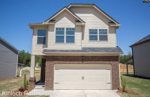 217 Bickley View Court - 217 Bickley View Ct, Lexington County, SC 29036