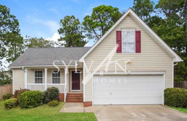 303 Palmetto Springs Drive - 303 Palmetto Springs Drive, Richland County, SC 29229