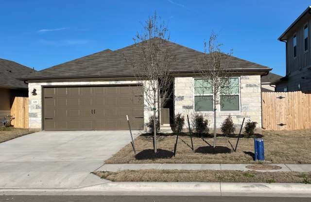 125 Sun Grove Trail Georgetown, TX 78628