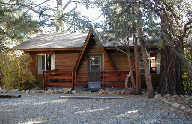 305 Pine Ln - 305 Pine Ln, Big Bear City, CA 92386